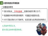 3.1 DNA是主要的遗传物质（第1课时）-2024-2025学年高一生物下学期精品课件（2019人教版必修2）
