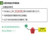 3.1 DNA是主要的遗传物质（第1课时）-2024-2025学年高一生物下学期精品课件（2019人教版必修2）