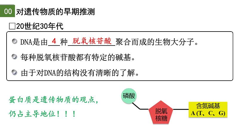 3.1 DNA是主要的遗传物质（第1课时）-2024-2025学年高一生物下学期精品课件（2019人教版必修2）第5页