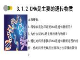 3.1 DNA是主要的遗传物质（第2课时）-2024-2025学年高一生物下学期精品课件（2019人教版必修2）