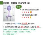 3.1 DNA是主要的遗传物质（第2课时）-2024-2025学年高一生物下学期精品课件（2019人教版必修2）
