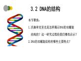 3.2  DNA的结构-2024-2025学年高一生物下学期精品课件（2019人教版必修2）