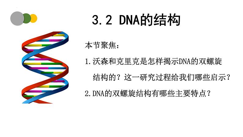 3.2  DNA的结构-2024-2025学年高一生物下学期精品课件（2019人教版必修2）第1页