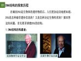 3.2  DNA的结构-2024-2025学年高一生物下学期精品课件（2019人教版必修2）