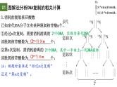 3.3 DNA的复制（第2课时）-2024-2025学年高一生物下学期精品课件（2019人教版必修2）