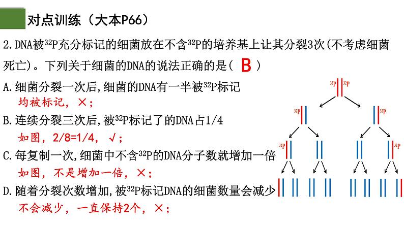 3.3 DNA的复制（第2课时）-2024-2025学年高一生物下学期精品课件（2019人教版必修2）第6页