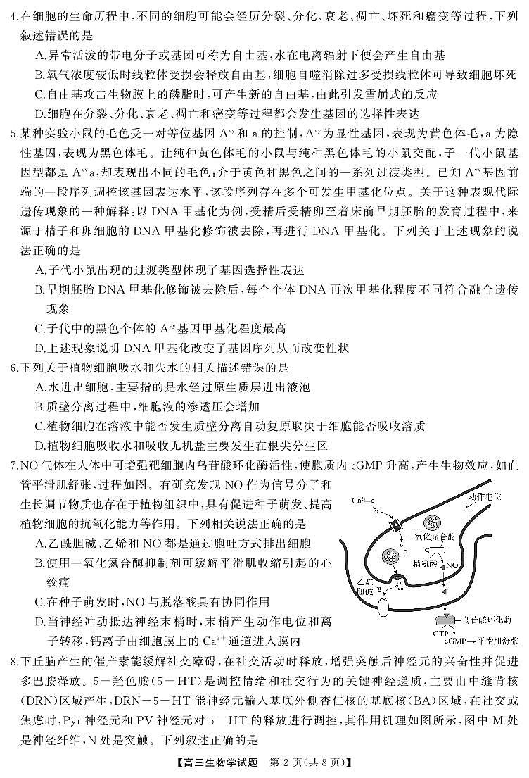 高三 生物（试题）转曲2第2页