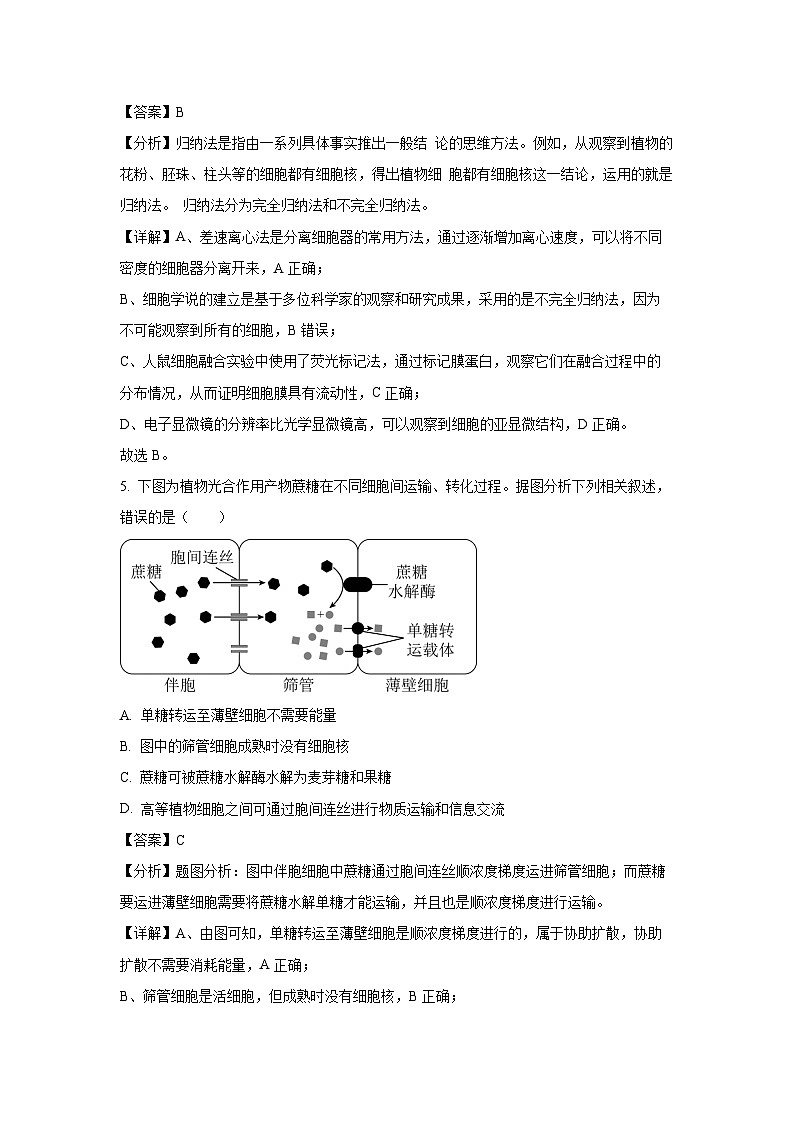 辽宁省点石联考2024-2025学年高一上学期期末测试生物试题（解析版）第3页