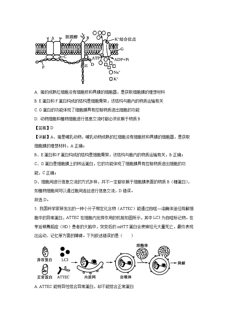 河南省新高中创新联盟TOP二十名校2024-2025学年高一上学期12月调研考试生物试题（解析版）第3页