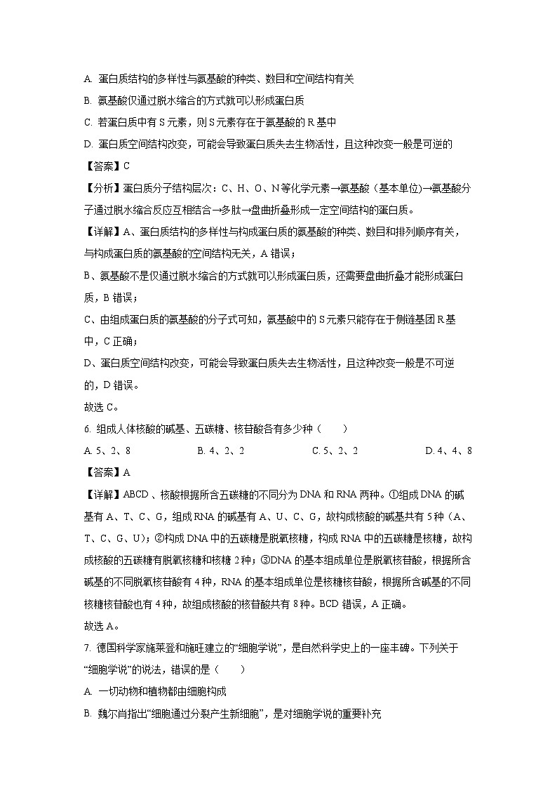 浙江省”南太湖“联盟2024-2025学年高一上学期第一次联考生物试题 （解析版）第3页
