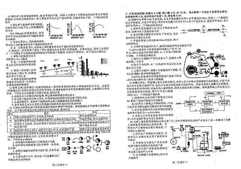 辽宁省省重点中学协作校2025届高三上学期1月期末生物第2页
