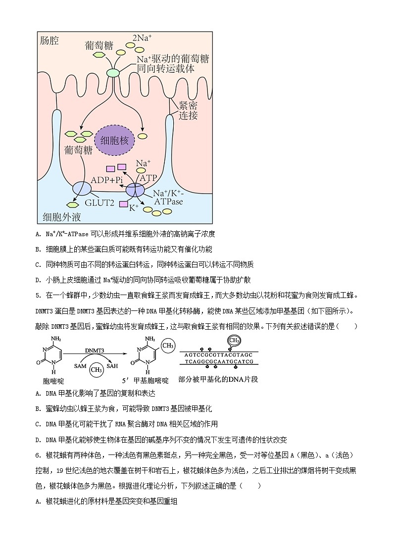 辽宁省鞍山市普通高中2023_2024学年高三生物上学期期末联考试题含解析第2页