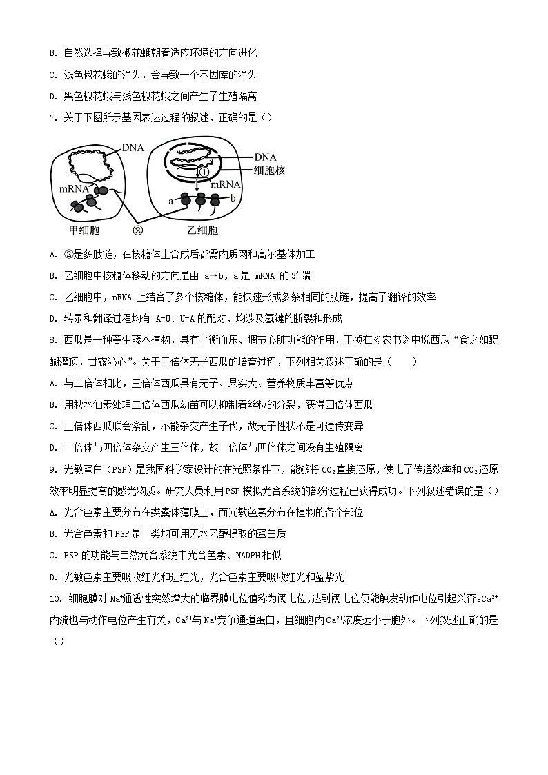 辽宁省鞍山市普通高中2023_2024学年高三生物上学期期末联考试题含解析第3页