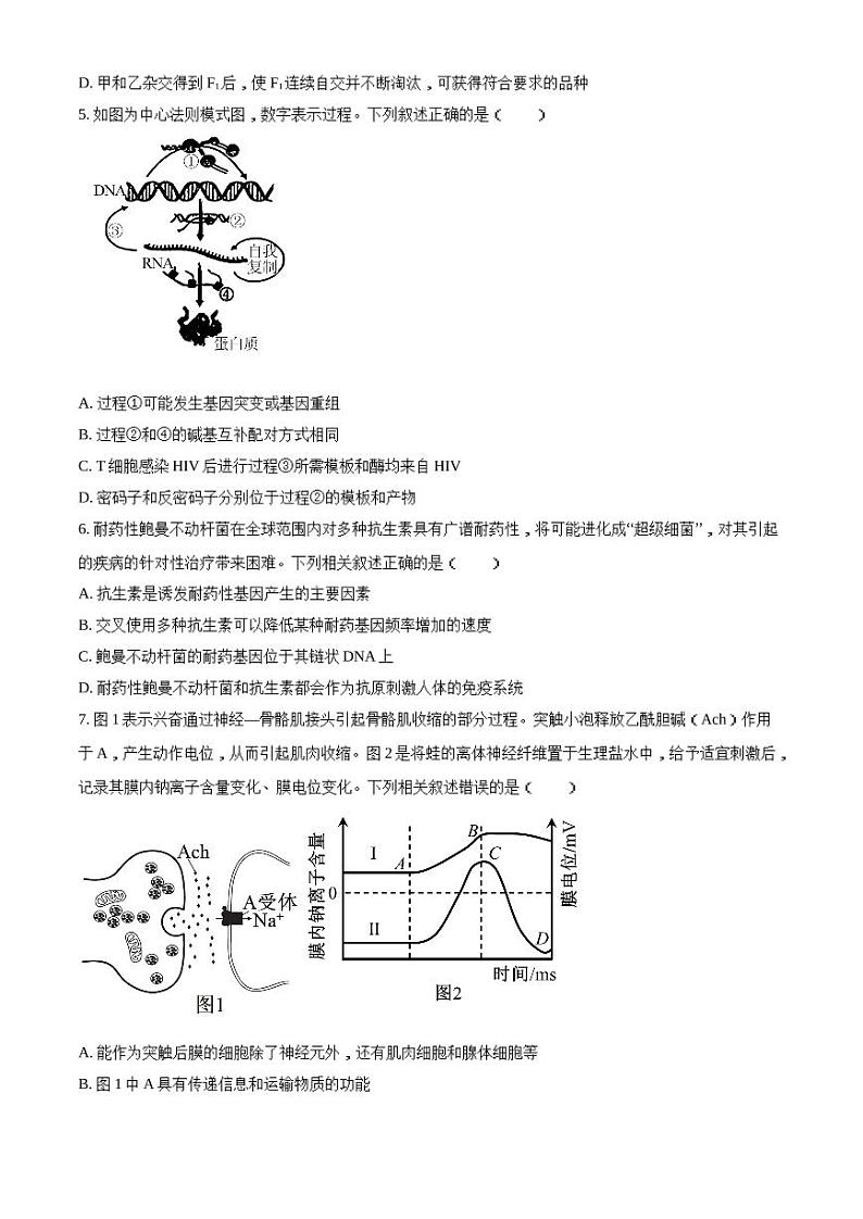 湖南名校联考联合体2025届新高三上学期入学摸底考试生物学试题（含答案）第2页
