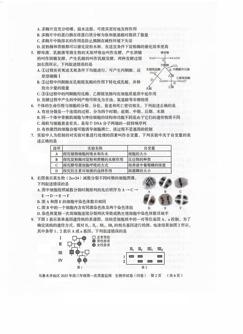 新疆乌鲁木齐地区2025届高三上学期第一次质量监测生物试卷（PDF版附答案）第2页