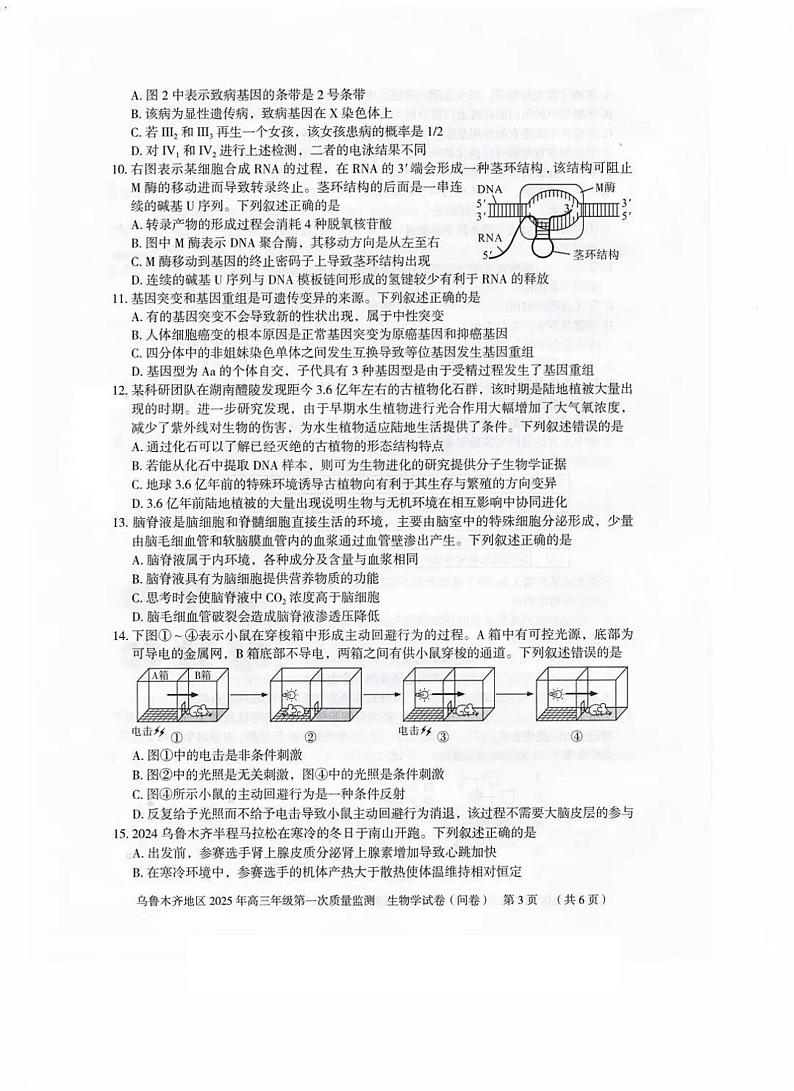 新疆乌鲁木齐地区2025届高三上学期第一次质量监测生物试卷（PDF版附答案）第3页