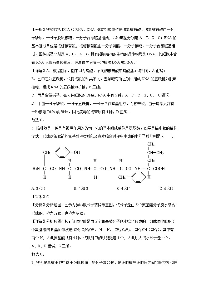 江西省上饶市蓝天教育集团2024-2025学年高一上学期第二次月考生物试卷（解析版）第3页