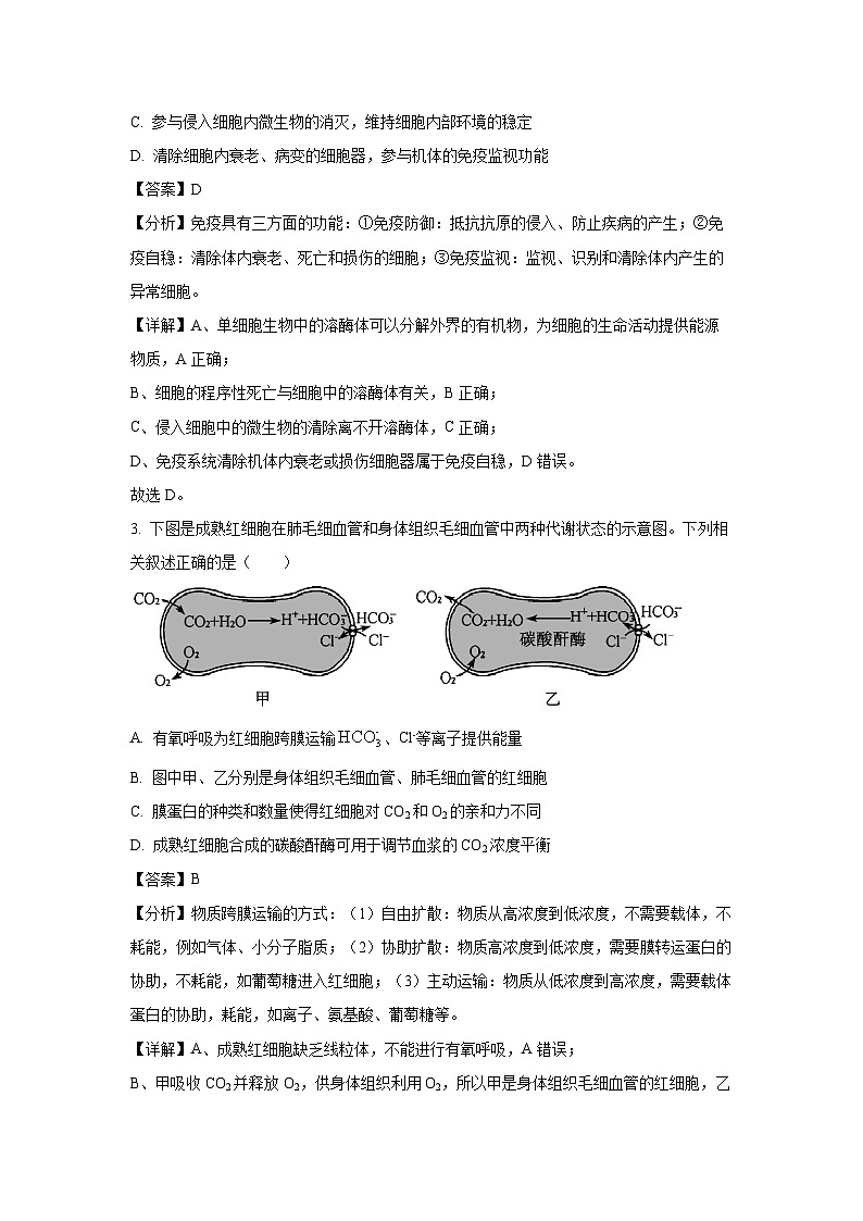 江西省萍乡市2024-2025学年高三上学期期中考试生物试卷（解析版）第2页