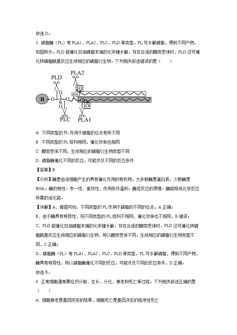 2025届广西桂林市高三上11月跨市联考生物试卷（解析版）第3页