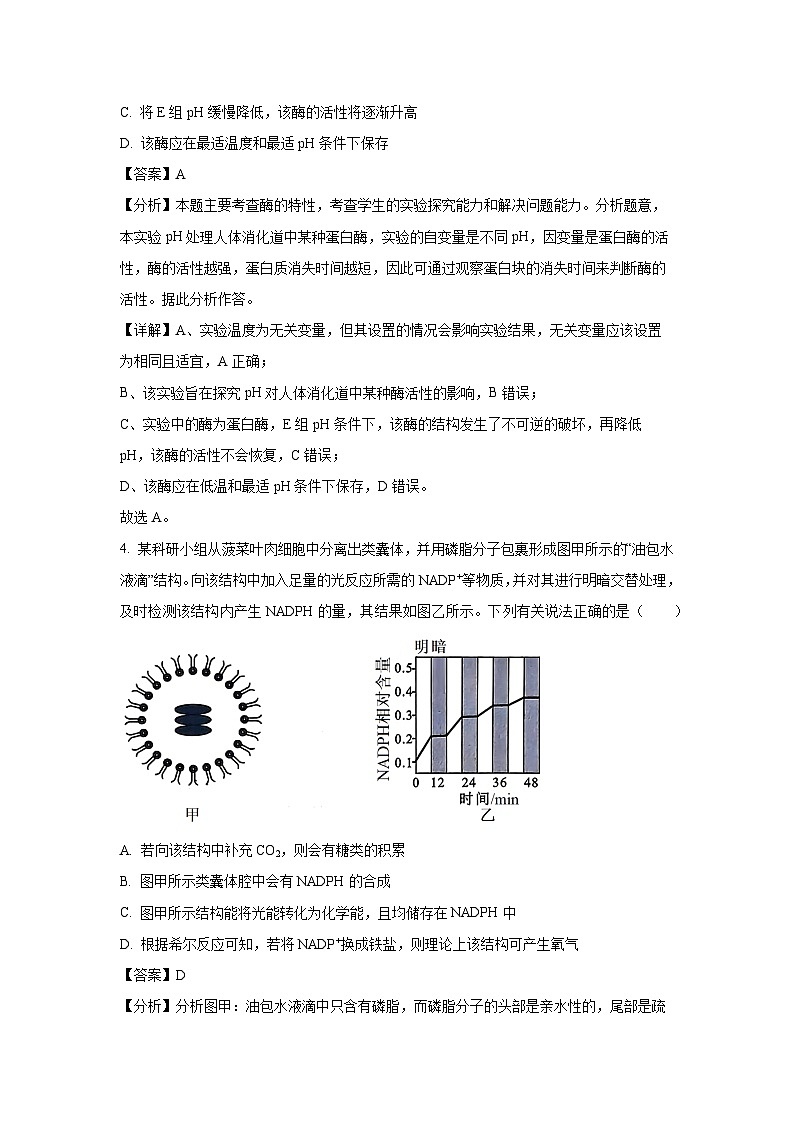 内蒙古赤峰市名校2024-2025学年高三上学期期中联考生物试卷（解析版）第3页