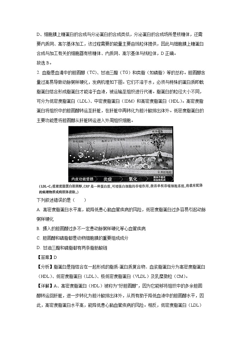 山东省临沂市2024-2025学年高三上学期期中考试生物试卷（解析版）第2页