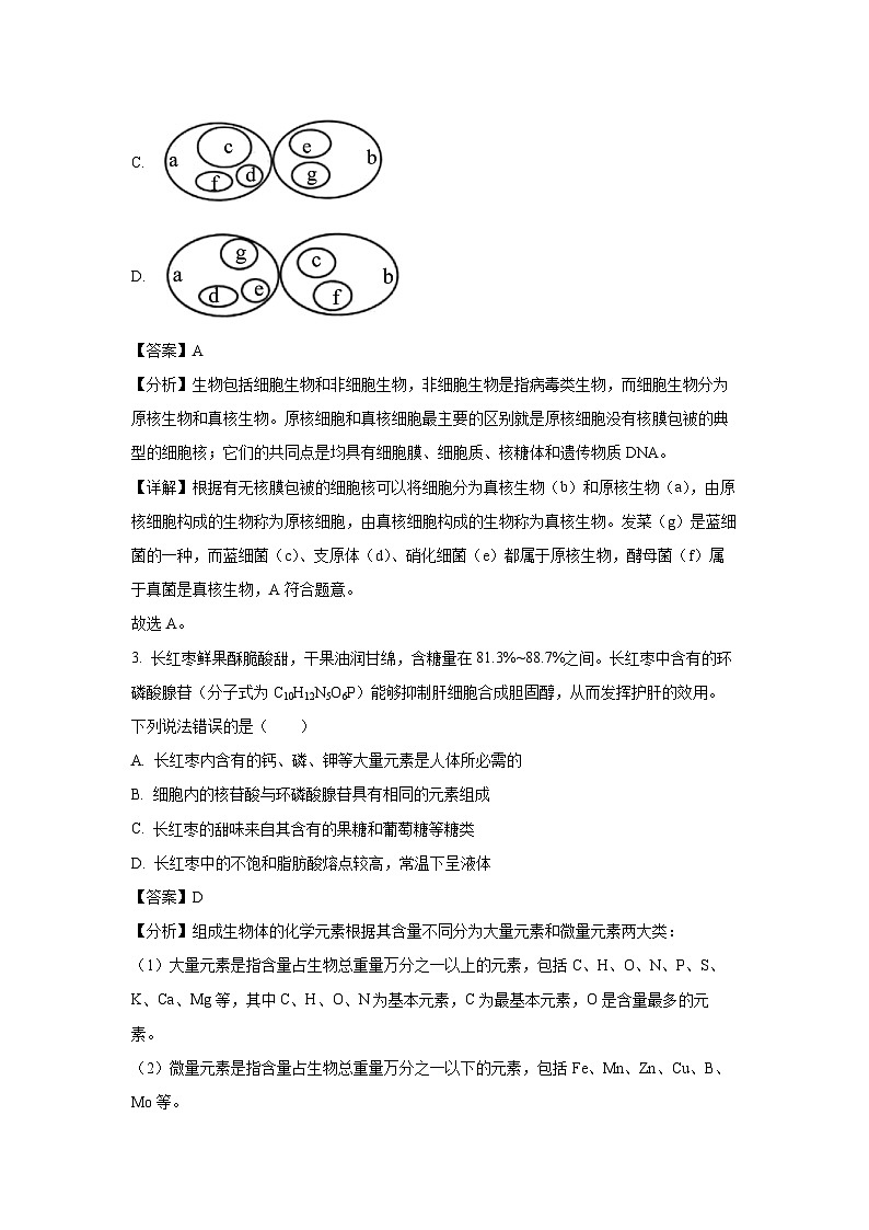 山东省临沂市2024—2025学年高一上学期12月联考生物试卷（解析版）第2页