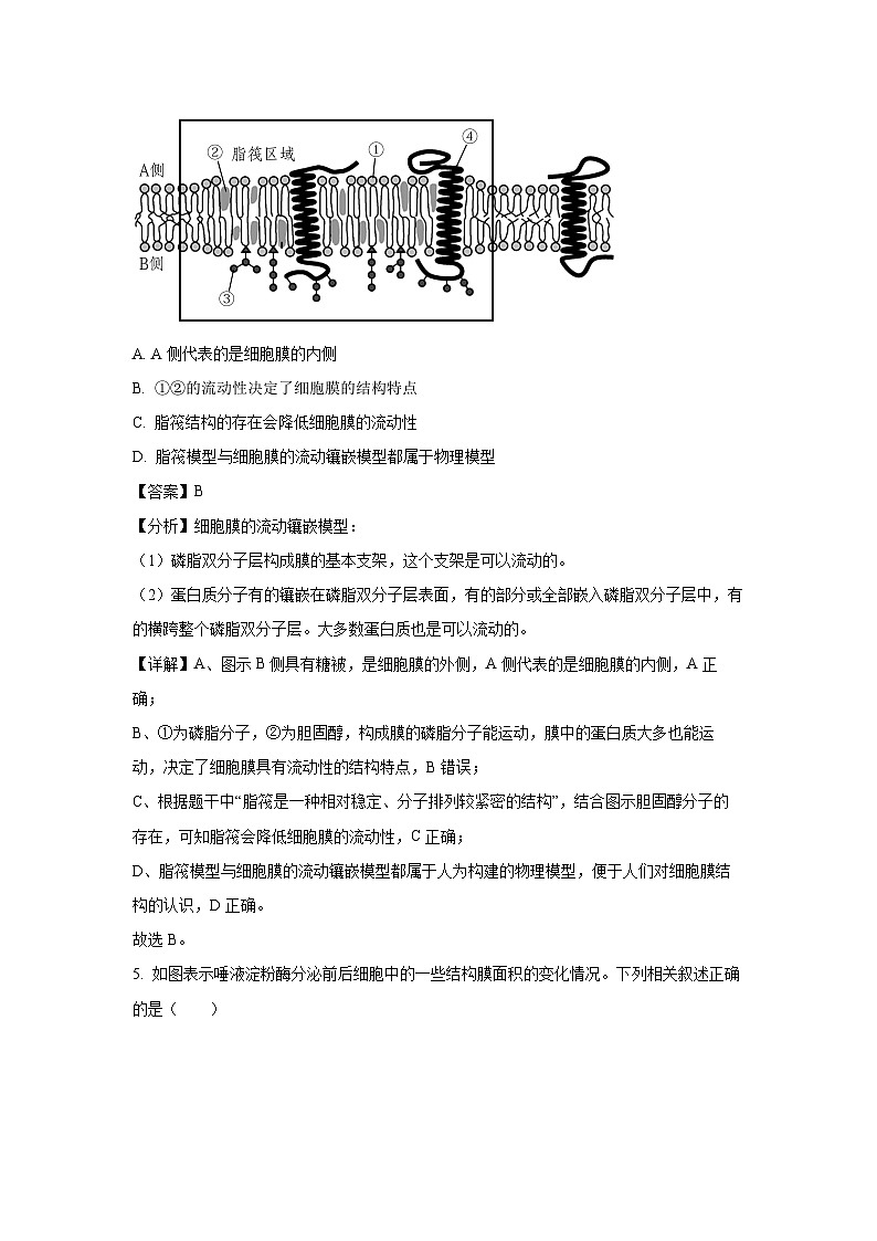 山西省三晋卓越联盟2024-2025学年高一上学期12月月考生物试卷（解析版）第3页