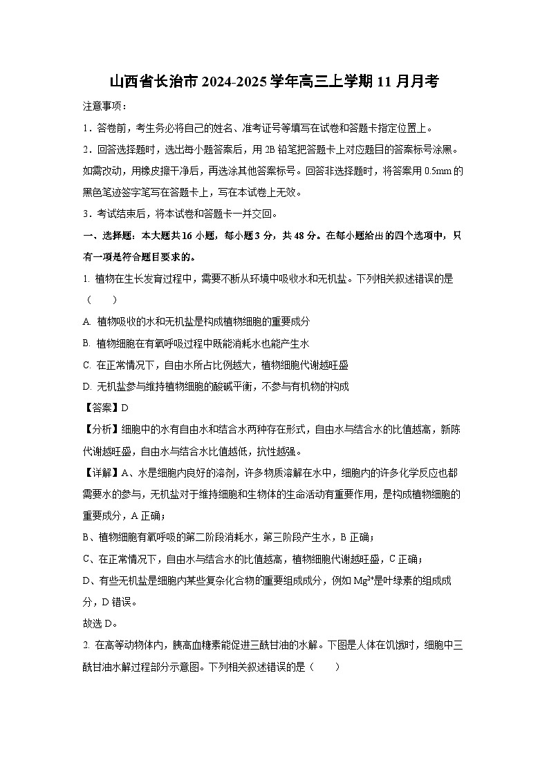 山西省长治市2024-2025学年高三上学期11月月考生物试卷（解析版）第1页