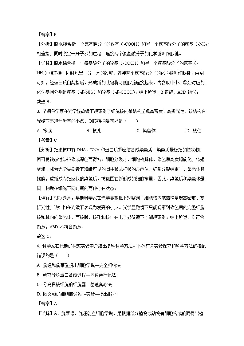 广东省部分学校2024-2025学年高一上学期12月期中生物试卷（解析版）第2页