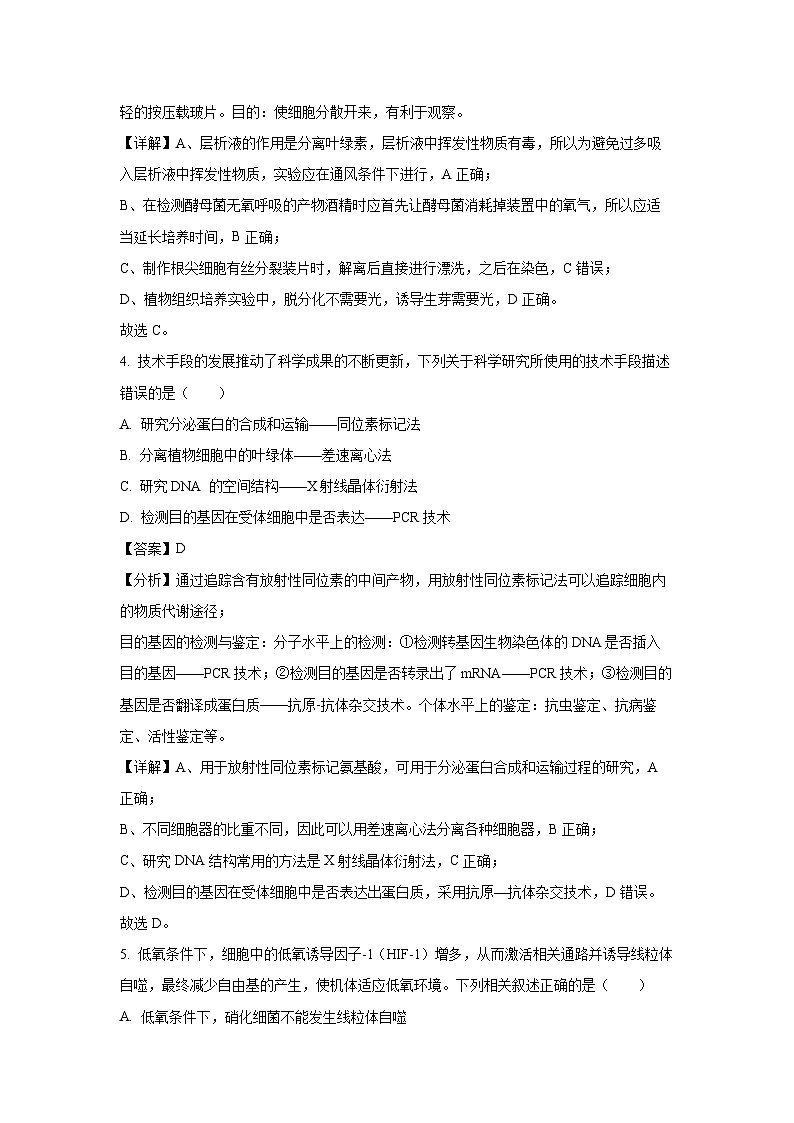 广东省部分高中学校联考2024-2025学年高三上学期11月期中考试生物试卷（解析版）第3页