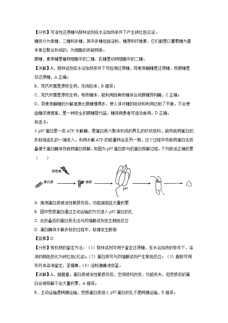 河北省邢台市名校大联考2024-2025学年高三上学期11月月考生物试卷（解析版）第2页