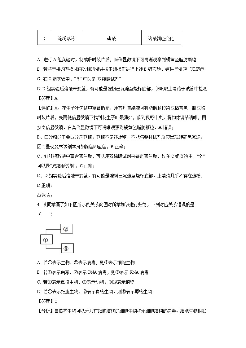河南省重点高中2024-2025学年高一上学期第三次联考月考生物试卷（解析版）第3页