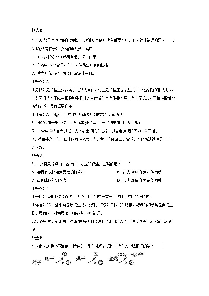 海南省某校2024-2025学年高一上学期期中考试生物试卷（解析版）第3页