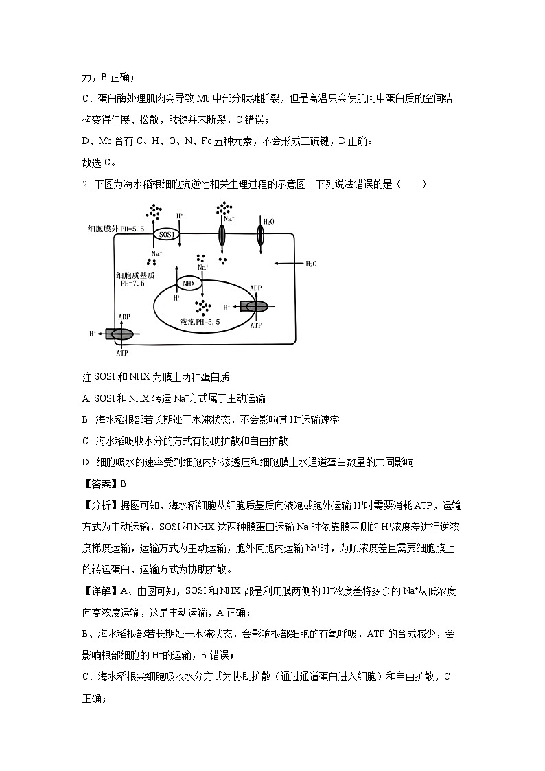 湖南省炎德英才名校联考联合体2024-2025学年高三上学期11月期中考试生物试卷（解析版）第2页