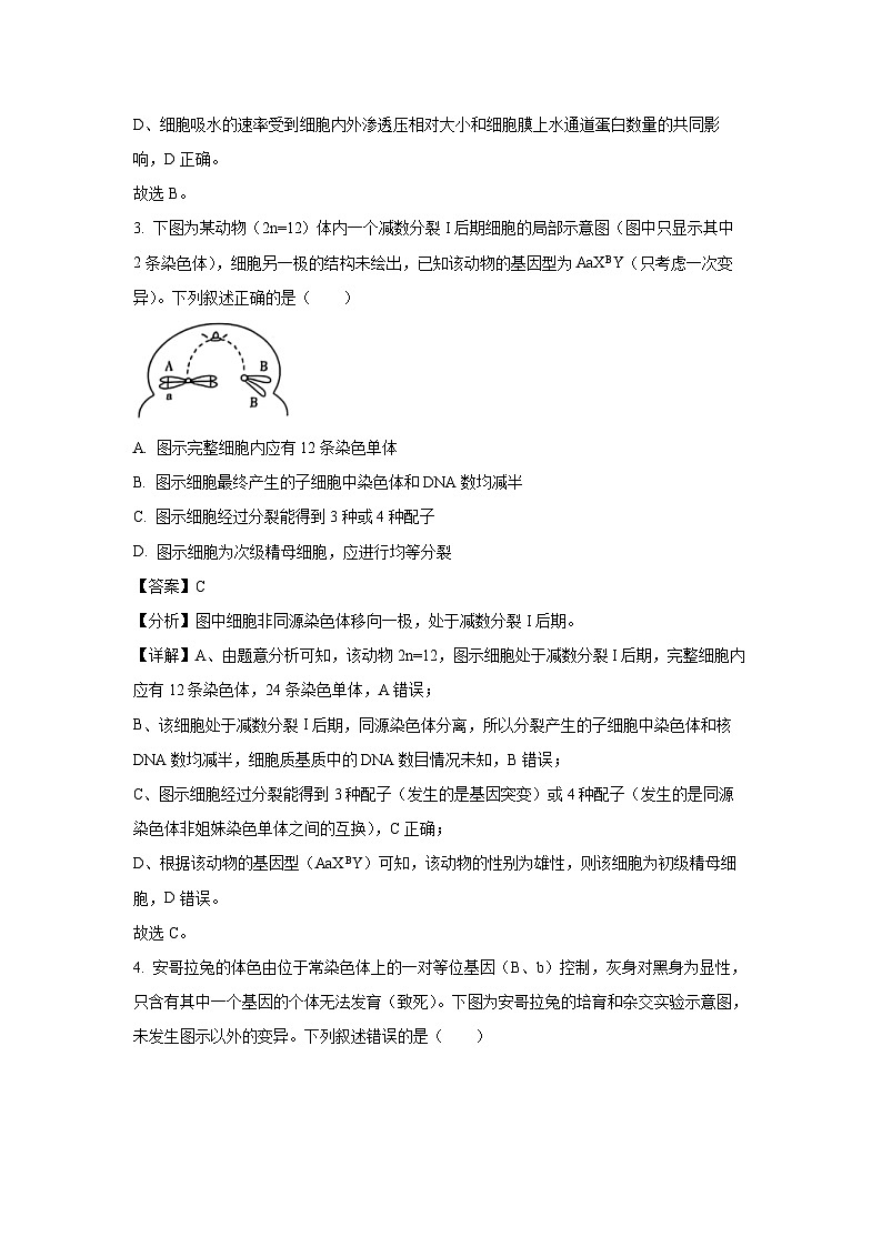 湖南省炎德英才名校联考联合体2024-2025学年高三上学期11月期中考试生物试卷（解析版）第3页