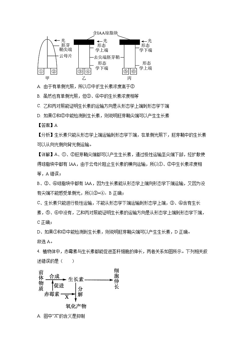 甘肃省多校2024-2025学年 高二上12月第二次联考月考生物试卷（解析版）第3页