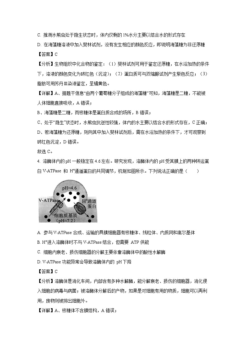 陕西省安康市2024-2025学年高三上学期第一次质量联考月考生物试卷（解析版）第3页