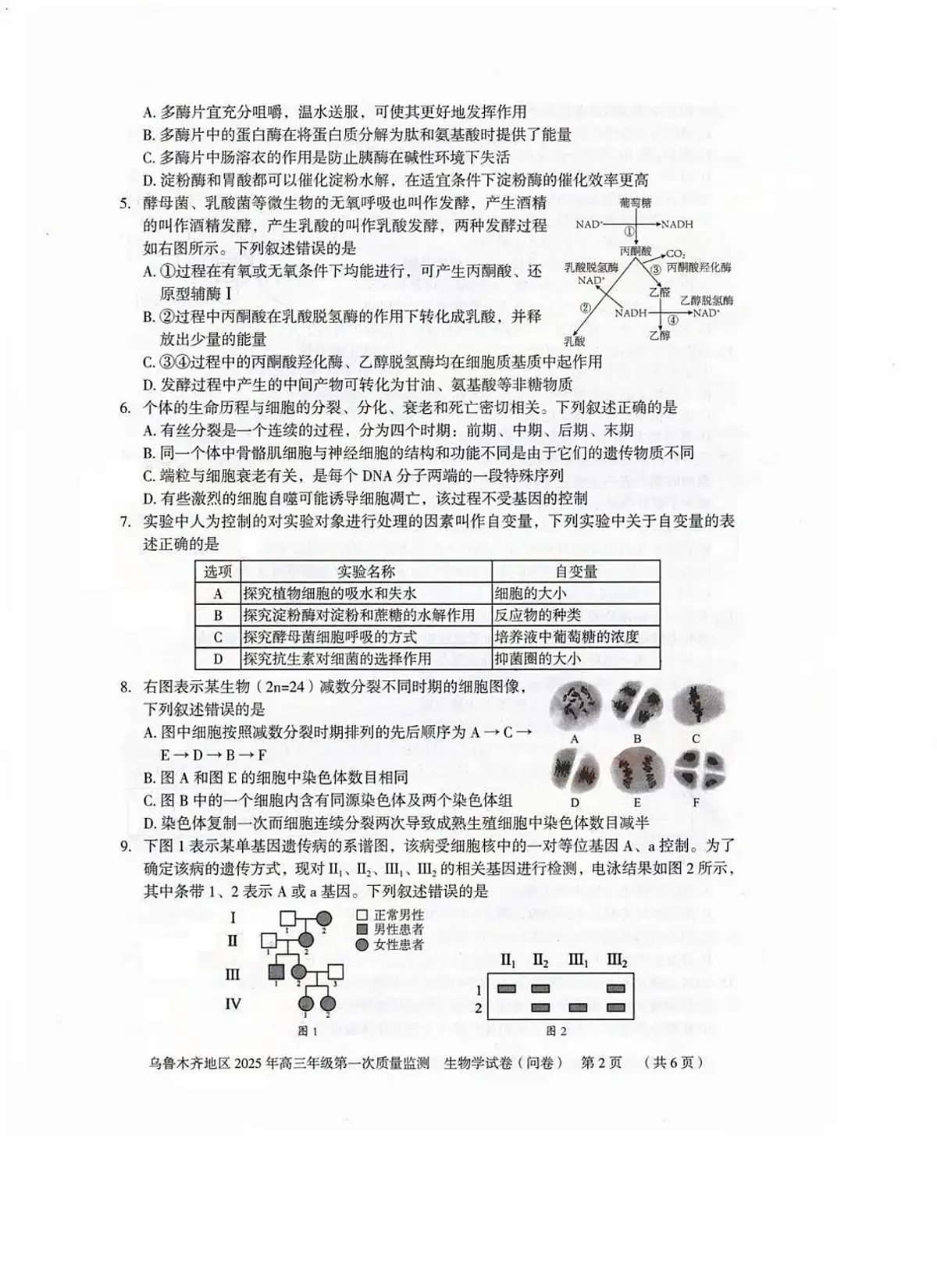 2025乌鲁木齐地区高三上学期第一次质量监测试题生物PDF版含答案第2页