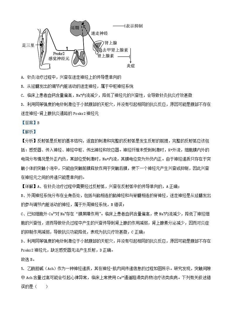 江西省上饶市2023_2024学年高二生物上学期期末教学质量测试试题含解析第3页