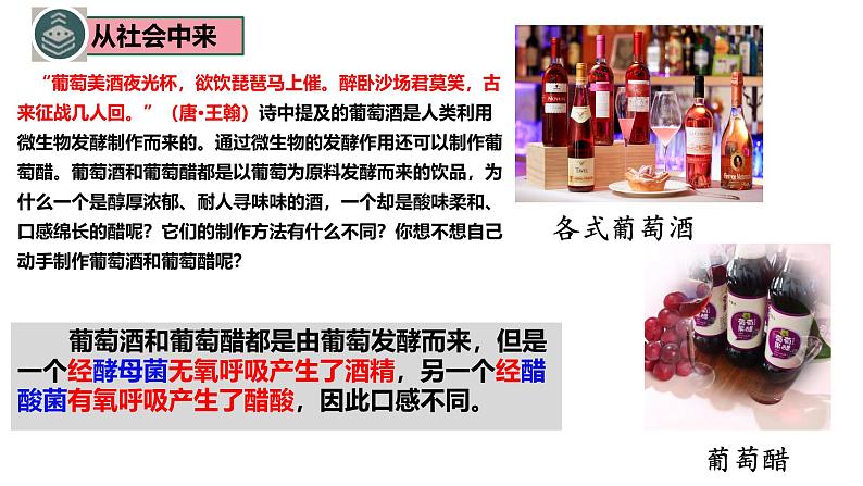 1.1传统发酵技术的应用 课件（内嵌视频）第3页