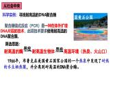 1.2.2微生物的培养技术及应用（第二课时）——微生物的选择培养和计数 课件（内嵌视频）