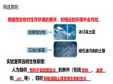 1.2.2微生物的培养技术及应用（第二课时）——微生物的选择培养和计数 课件（内嵌视频）