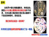 1.2.2微生物的培养技术及应用（第二课时）——微生物的选择培养和计数 课件（内嵌视频）