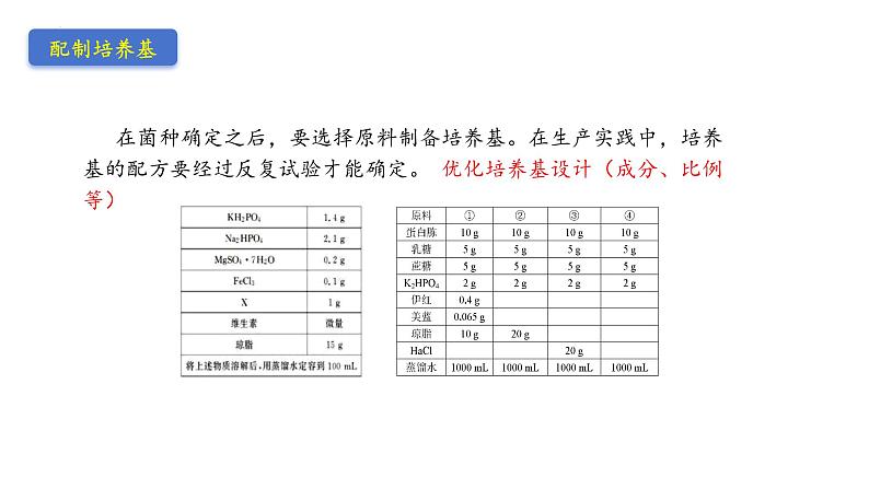 1.3发酵工程及其应用 课件（内嵌视频）第5页