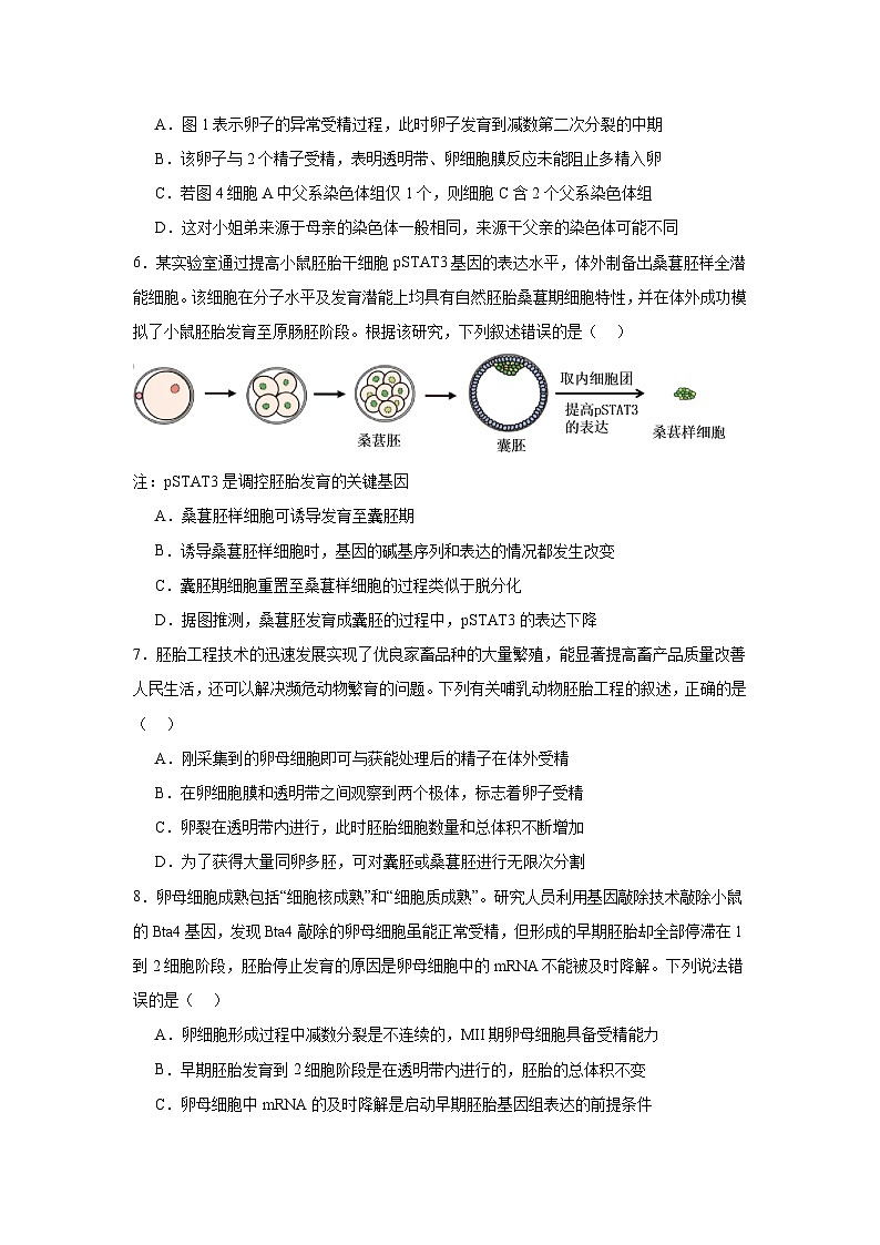 2.3第2章第3节胚胎工程 同步练习（含答案）第2页