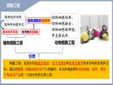 2.1.1植物细胞工程的基本技术 课件（内嵌视频）