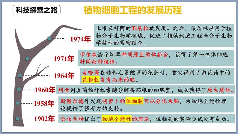 2.1.1植物细胞工程的基本技术 课件（内嵌视频）第2页