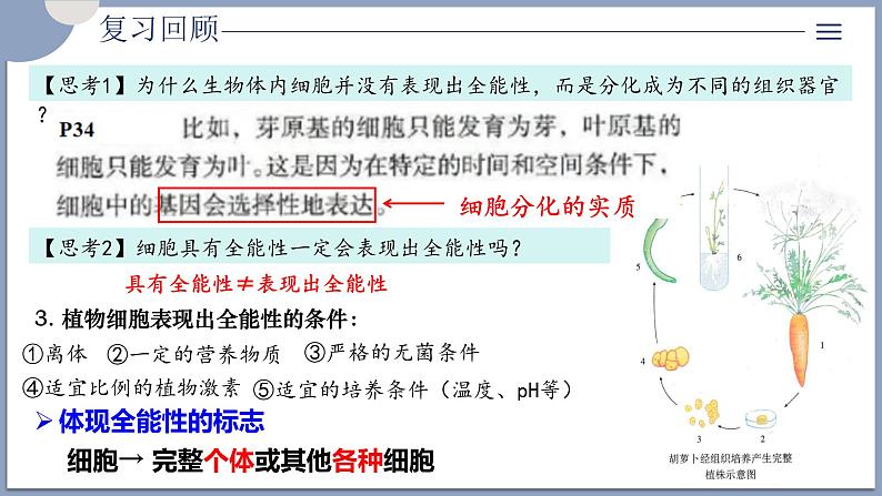 2.1.1植物细胞工程的基本技术 课件（内嵌视频）第7页