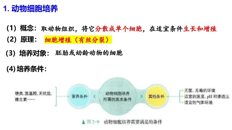 2.2.1动物细胞培养 课件（内嵌视频）第7页