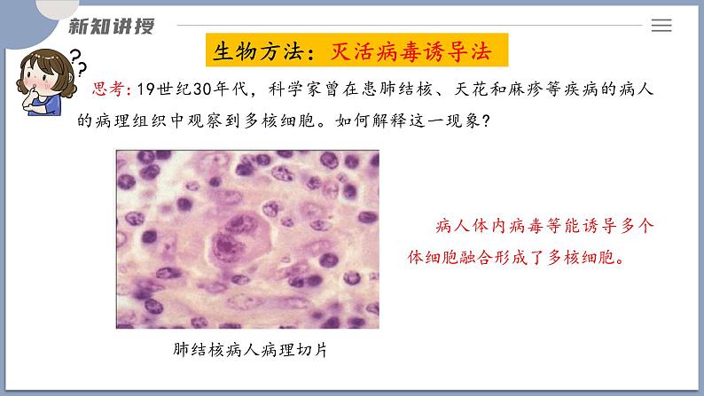 2.2.2动物细胞融合技术与单克隆抗体 课件（内嵌视频）第6页